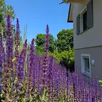 Uebernachterei - 3 Hochwertige Premium-appartements