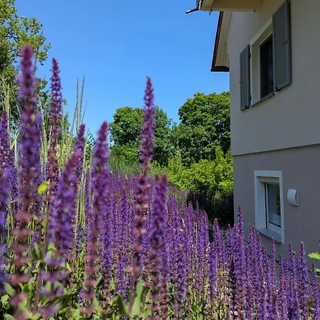 Uebernachterei - 3 Hochwertige Premium-appartements