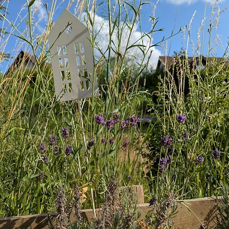 Διαμέρισμα Uebernachterei - 3 Hochwertige Premium-appartements Hüfingen