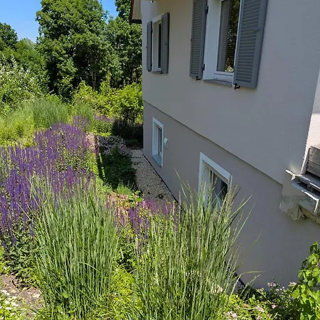 Διαμέρισμα Uebernachterei - 3 Hochwertige Premium-appartements