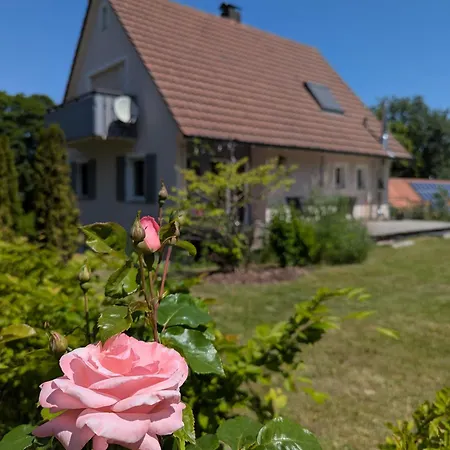 Uebernachterei - 3 Hochwertige Premium-appartements *
