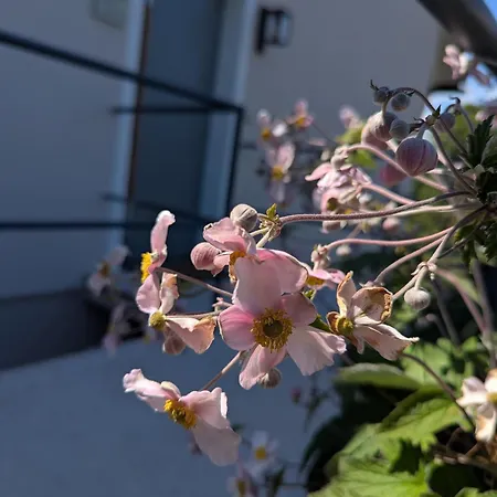 Uebernachterei - 3 Hochwertige Premium-appartements