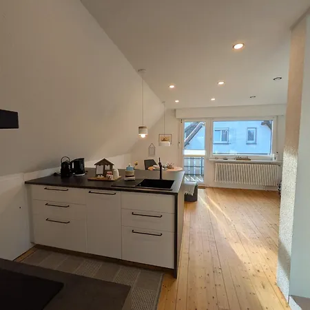 Uebernachterei - 3 Hochwertige Premium-appartements Hüfingen