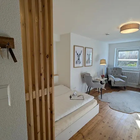 Uebernachterei - 3 Hochwertige Premium-appartements Lejlighed Hüfingen